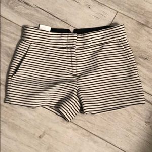 Adorable ribbed shorts from BCBG